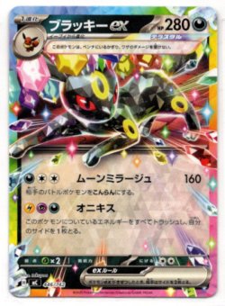 画像1: ブラッキーex