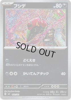 画像1: 【ミラー】フシデ