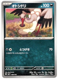 画像1: オトシドリ