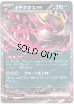 画像1: キチキギスex