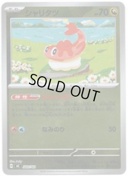 画像1: 【ミラー】シャリタツ