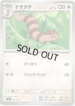 画像1: オオタチ