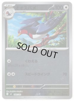 画像1: 【ミラー】オオスバメ