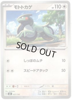 画像1: モトトカゲ