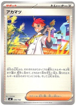 画像1: アカマツ