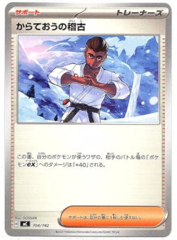 画像1: からておうの稽古(パルデア地方)