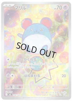 画像1: 【AR】マリル