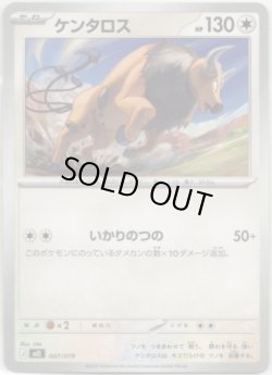 画像1: ケンタロス