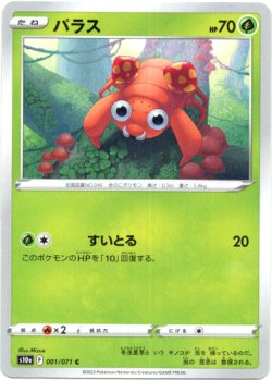 画像1: 【ミラー】パラス