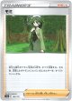 【ミラー】モミ