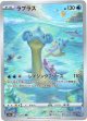 ※傷有り品（返品交換対象外）【AR】ラプラス