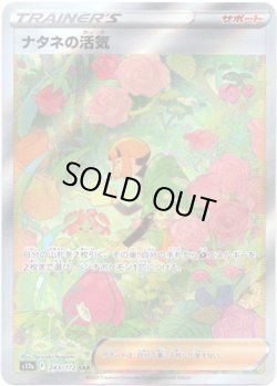 画像1: ※傷有り品（返品交換対象外）【SAR】ナタネの活気