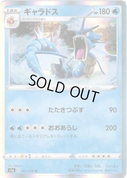 画像1: ギャラドス