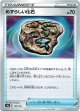 【ミラー】めずらしい化石