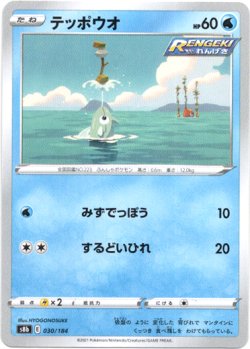 画像1: テッポウオ