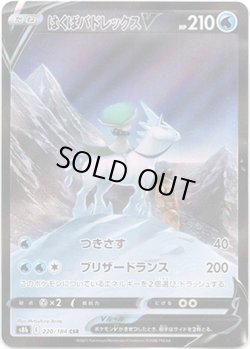画像1: ※傷有り品（返品交換対象外）【CSR】はくばバドレックスV
