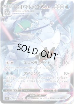 画像1: 【CSR】はくばバドレックスVMAX