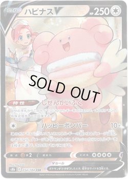 画像1: 【CSR】ハピナスV