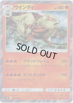 画像1: ウインディ