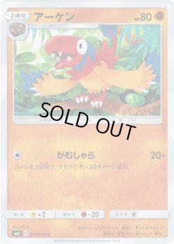 画像1: アーケン