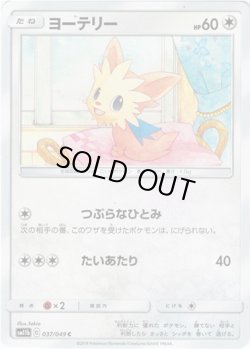 画像1: ヨーテリー