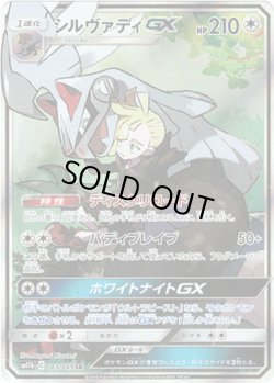 画像1: 【SR】シルヴァディGX