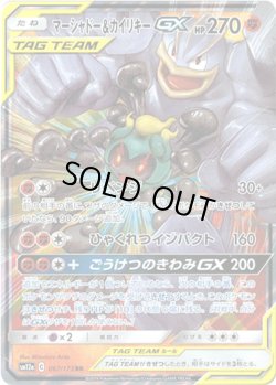 画像1: ※傷有り品（返品交換対象外）マーシャドー＆カイリキーGX