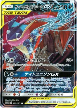 画像1: ※傷有り品（返品交換対象外）ゲッコウガ＆ゾロアークGX