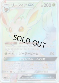 画像1: ※傷有り品（返品交換対象外）【HR】リーフィアGX