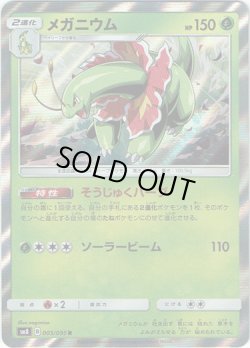 画像1: メガニウム