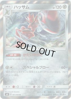 画像1: ハッサム