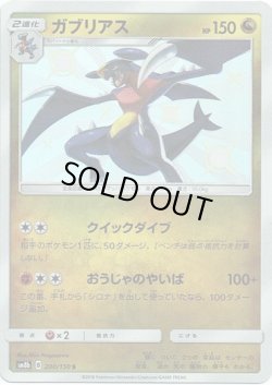 画像1: 【S】ガブリアス