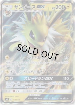 画像1: サンダースGX