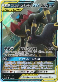 画像1: ※傷有り品（返品交換対象外）ブラッキー＆ダークライGX