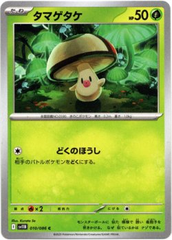 画像1: タマゲタケ