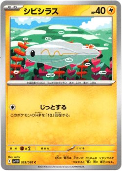 画像1: シビシラス