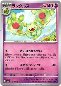 画像1: ランクルス