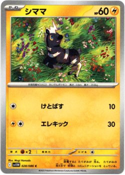 画像1: 【マスターボールミラー】シママ