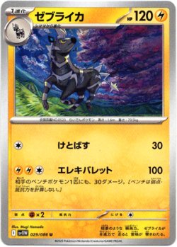 画像1: 【マスターボールミラー】ゼブライカ