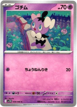 画像1: 【マスターボールミラー】ゴチム