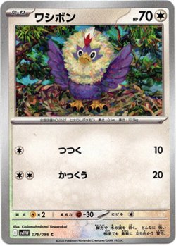 画像1: ワシボン