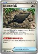 古びたはねの化石