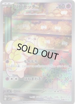 画像1: ※傷有り品（返品交換対象外）【AR】パピモッチ