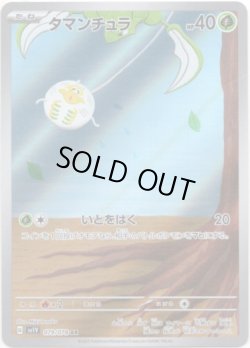 画像1: 【AR】タマンチュラ