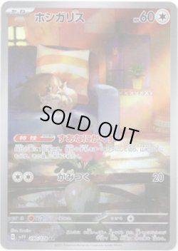 画像1: ※傷有り品（返品交換対象外）【AR】ホシガリス
