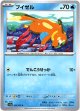 ブイゼル