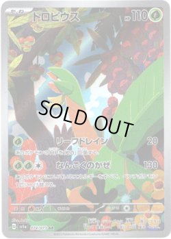 画像1: 【AR】トロピウス