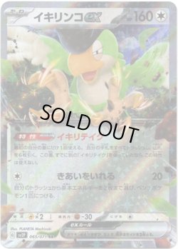 画像1: イキリンコex