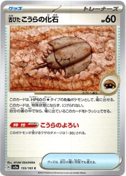 画像1: 【モンスターボールミラー】古びたこうらの化石