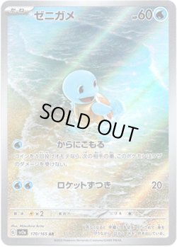 画像1: ※傷有り品（返品交換対象外）【AR】ゼニガメ